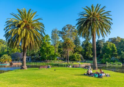Caring for Smiles Across Ferntree Gully and Narre Warren South