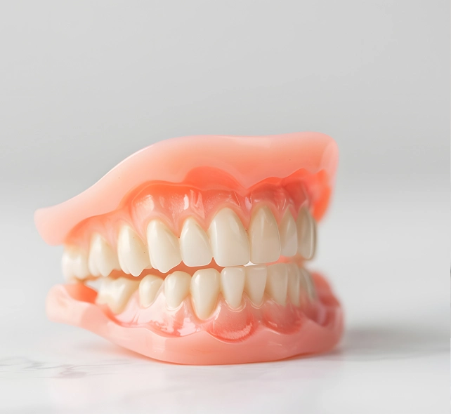 Model of a tooth showing several missing teeth, highlighting dental health and the importance of oral care.